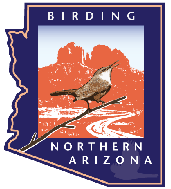 1-Tim-BNA-logo-171x189-1