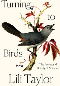 Turning to Birds: The Power and Beauty of Noticing