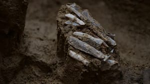 30,000-year-old 'personal toolkit' found in the Czech Republic