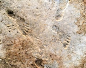 Footprints found at White Sands