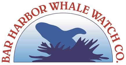 BH-Whale-Watch_logo