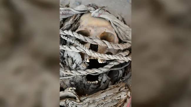A skull from one of the people buried at El Curaca in Peru