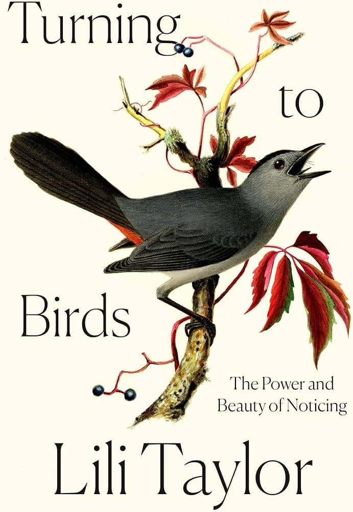 Turning to Birds: The Power and Beauty of Noticing