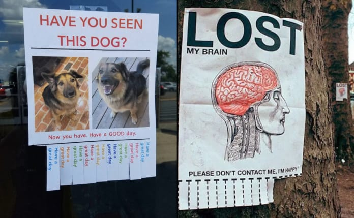Funny Signs
