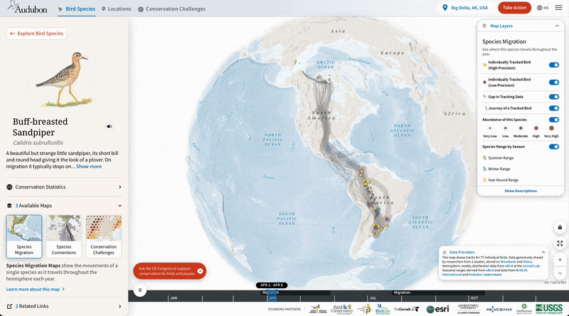 Audubon’s Bird Migration