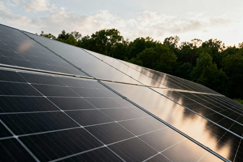 Solar electricity surge: solar panels