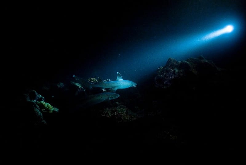 Deep-ocean floor ‘dark oxygen’